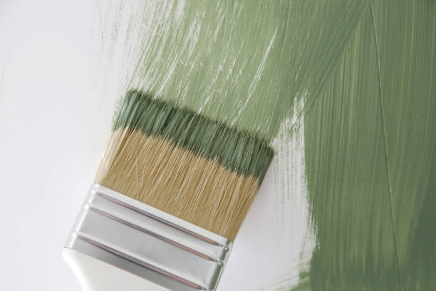Best Black Mold Removal  in Maumelle, AR