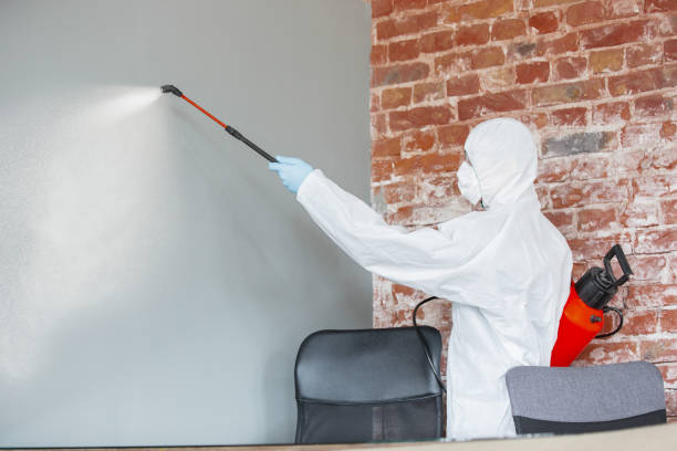Best Dehumidification Services  in Maumelle, AR