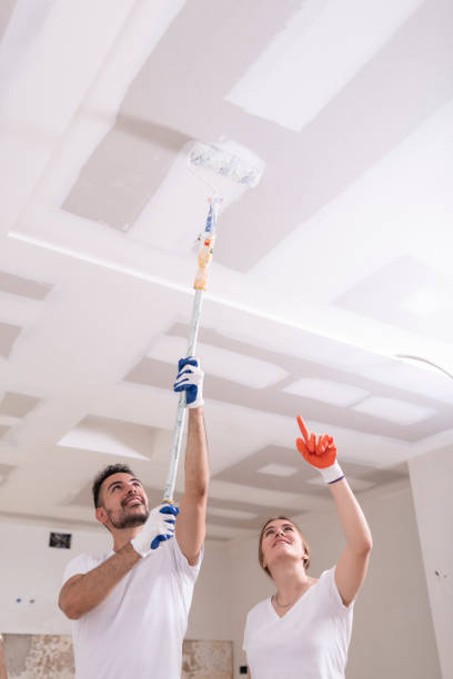 Best Mold Removal for HVAC Installations  in Maumelle, AR