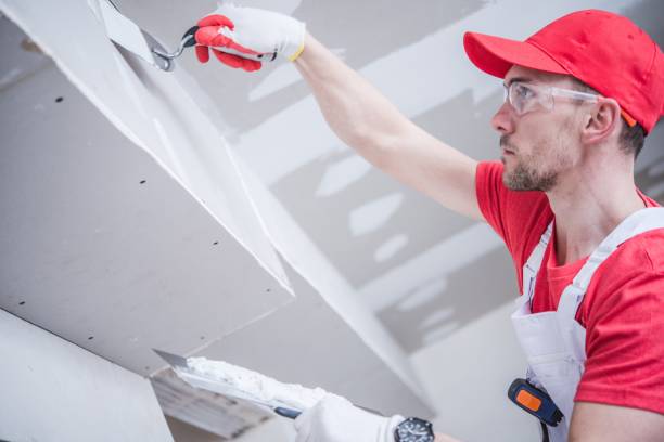  Maumelle, AR Mold Removal Pros
